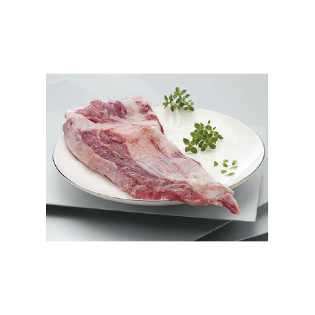 Pluma Ibérica Pluma Ibérica